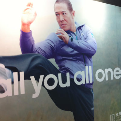 Jet Li Adidas WuJi Pose